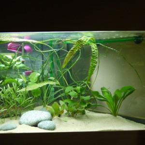 Anfang, noch ohne Wurzel